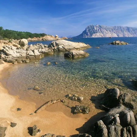 Διαμέρισμα Montes *